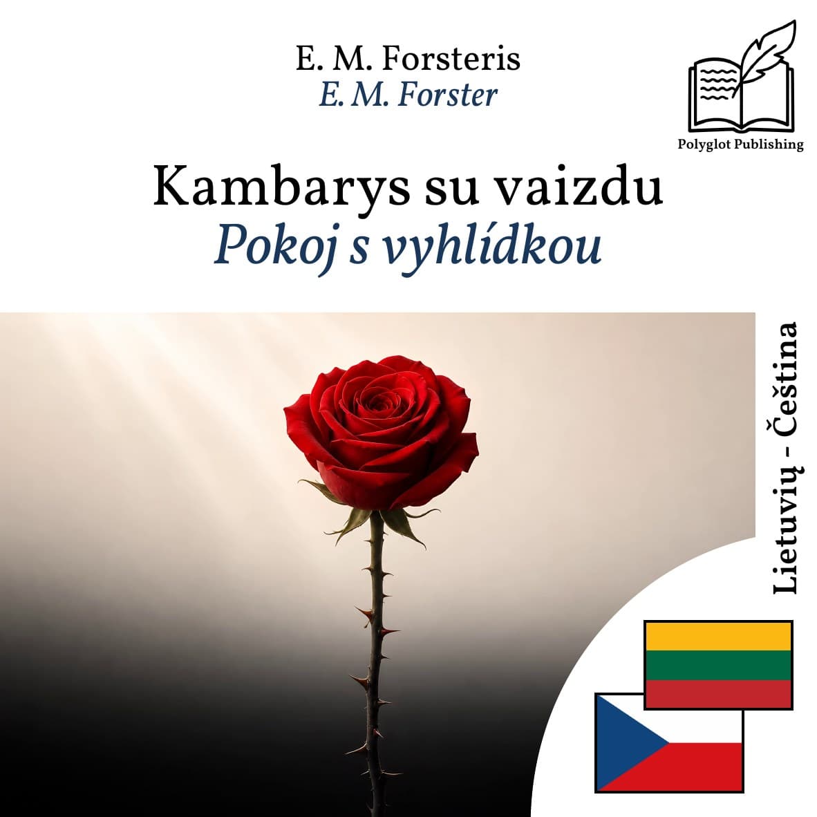 Pokoj s vyhlídkou