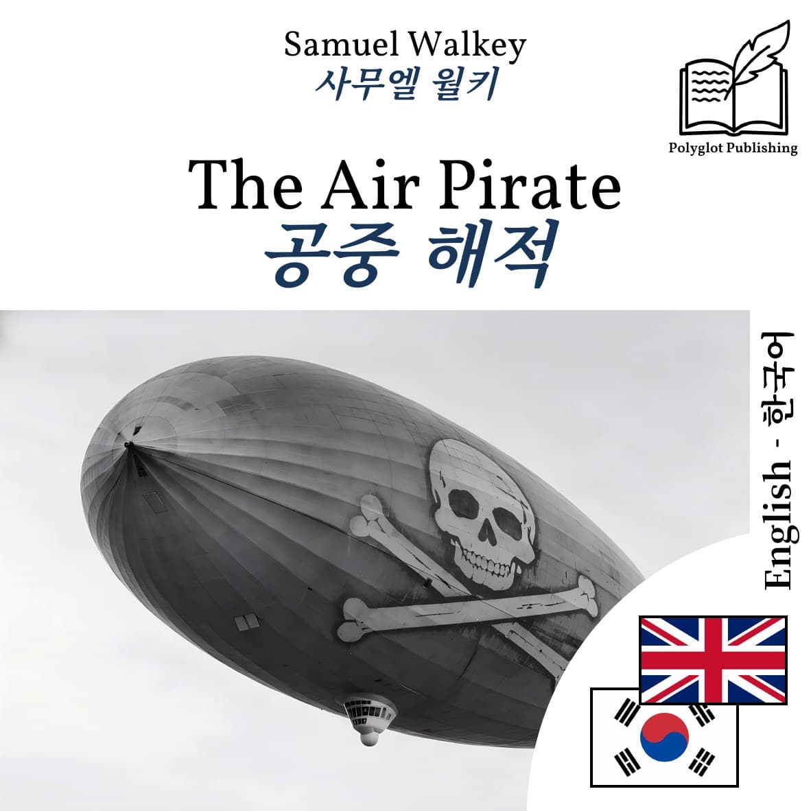 공중 해적