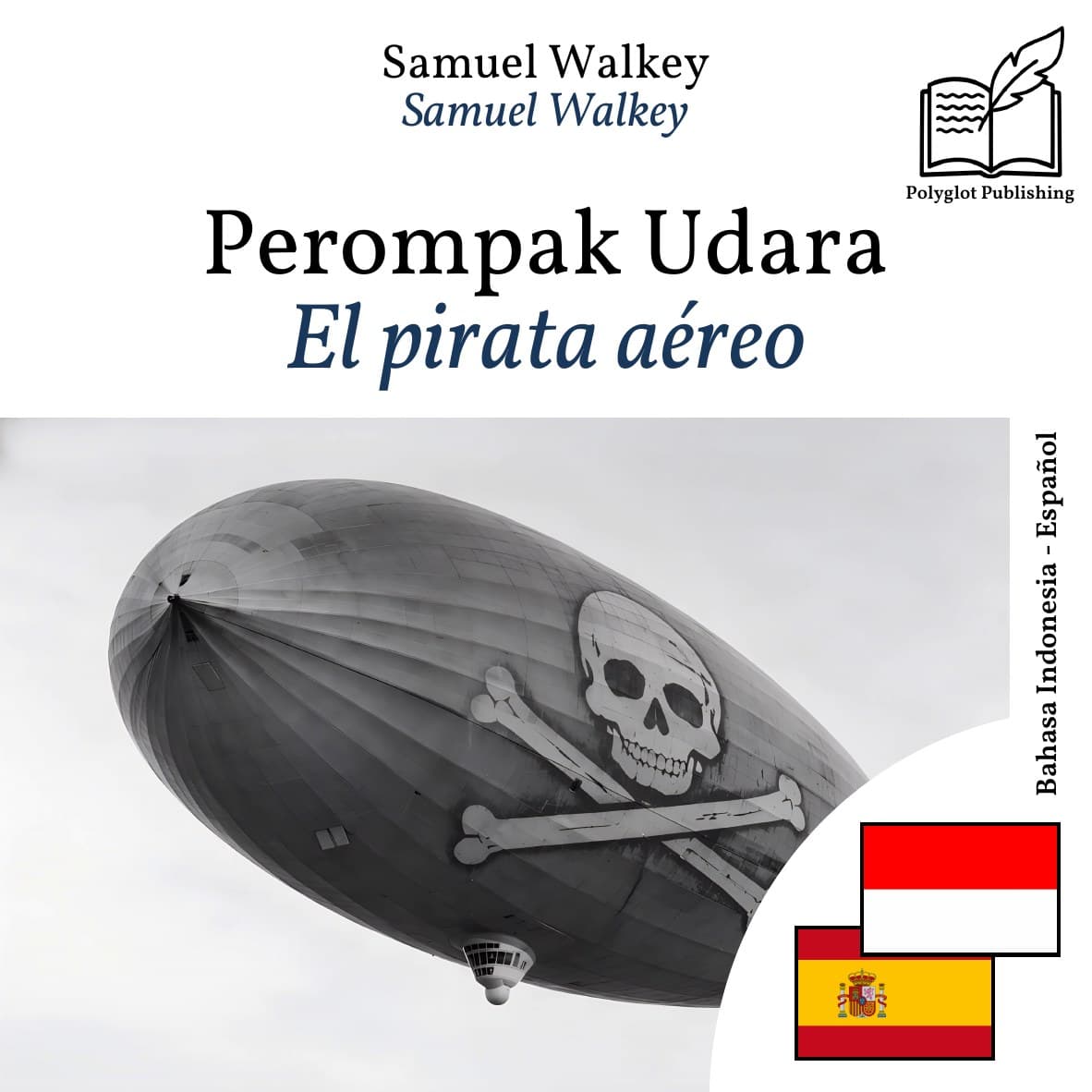 El pirata aéreo