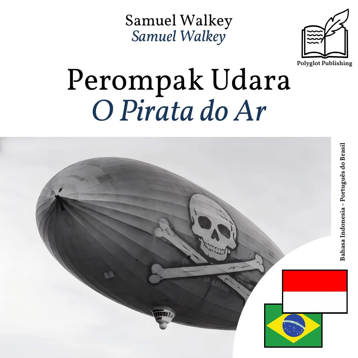 O Pirata do Ar
